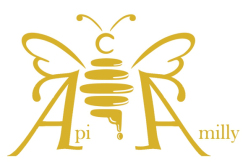 logo api amilly
